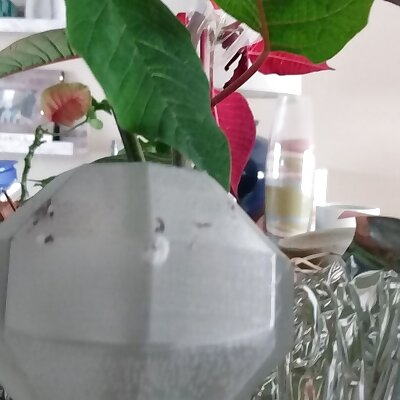 Customizable plant watering bulb