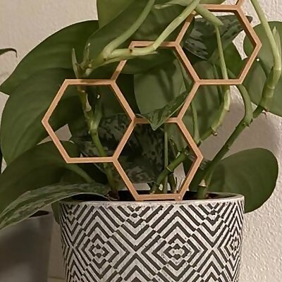 Plant Support  Plant Trellis  Hexagon  Honeycomb