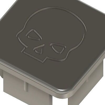 Skull Plug for square tube profiles 40x40x4