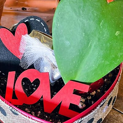 ❤️🪴Heart Shaped SelfWatering Planter