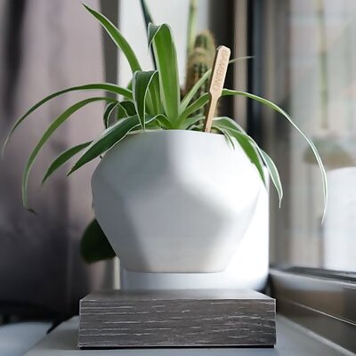 Levetating Plant Pot