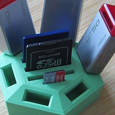 Compact USB SD MicroSD Holder