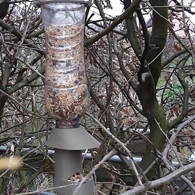 bird feeder in hedge version