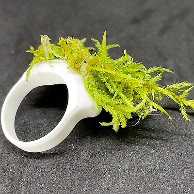 Moss Ring