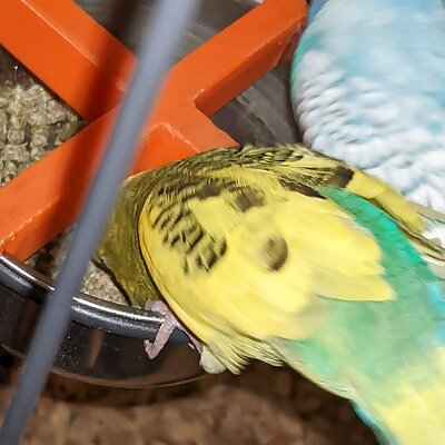 bird food bowl blocker