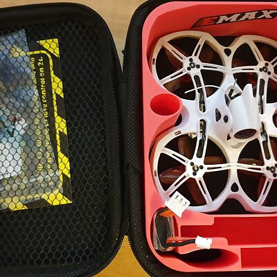 TinyHawk2 FPV quad drone storage box