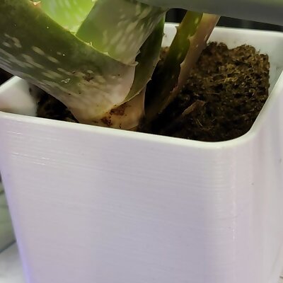 Small Plant Pot W Tray