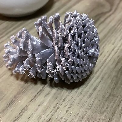 CT Scanned Pinecone