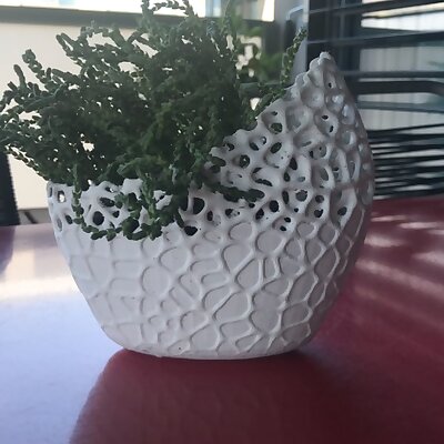 Voronoi Flower Pot