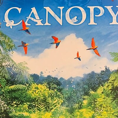 Canopy Deluxe Version Organizer