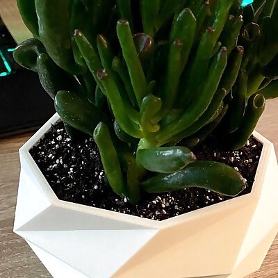 Wide Low Poly Planter with water chamber