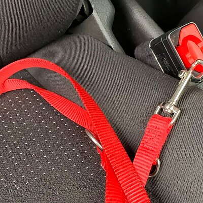Seat belt car for dogcatbags