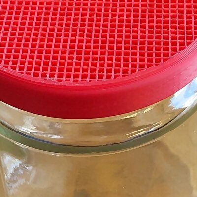 Sprouter Lid Strainer