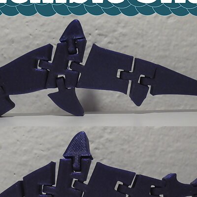 🟦Flexible Sharks