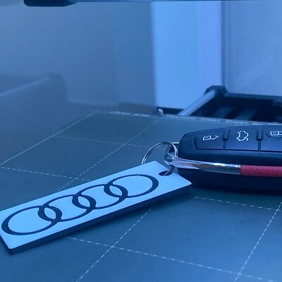 Audi keychain