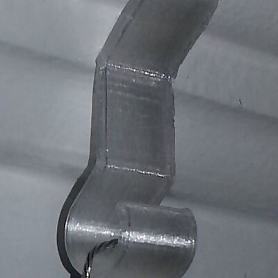 Picture molding hook