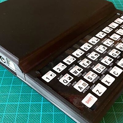 ZX8138 Replica Case
