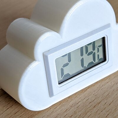 Thermometer  Hygrometer Indoor Wall mount
