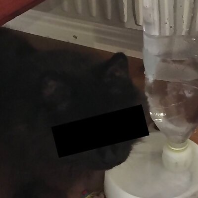 PET bottle water bowl