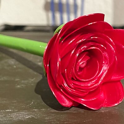 Super Realistic Rose RollUp Design