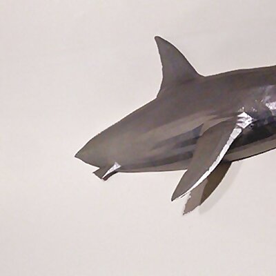 Great white shark wall mount