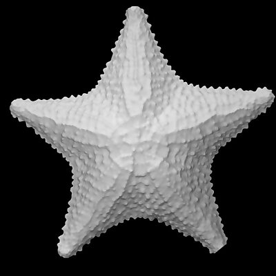 Asteroid starfish or seastar