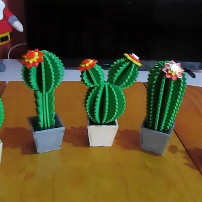 cactus printed 3d and cactus lasercut