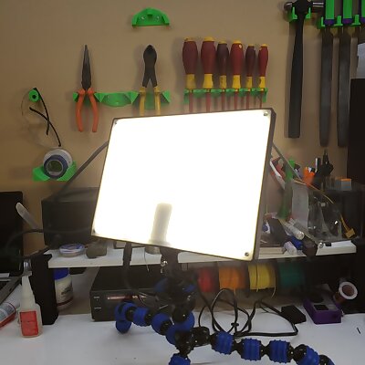 Light Panel with action camera mounts