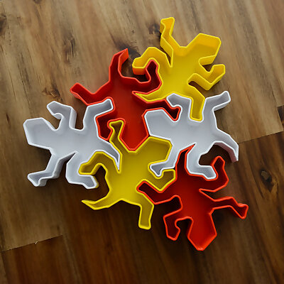 Lizard Tessellation Box with apologies to MC Escher!