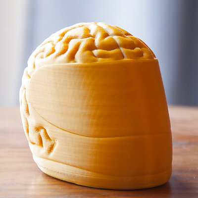 Brain helmet