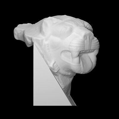 Carved Lions Head