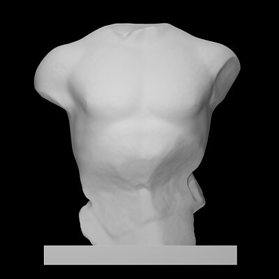 Torso of a seated man