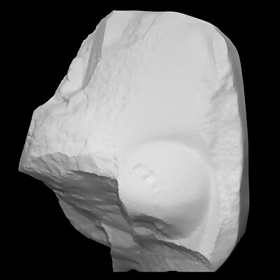 Fragment of a royal nose