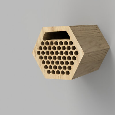 Beehive for solitary bees