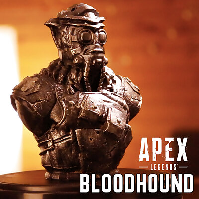 BloodhoundBust from Apex Legends Support Free Model