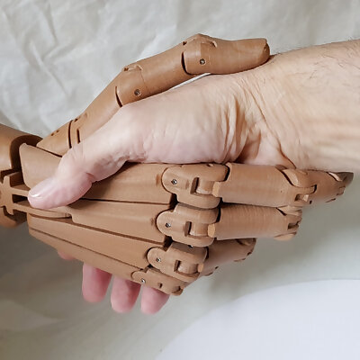 Articulated hand