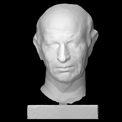 Head of a Statue of a Roman