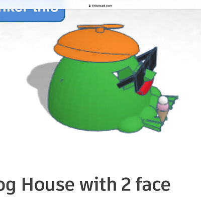 Frog House with 2 face