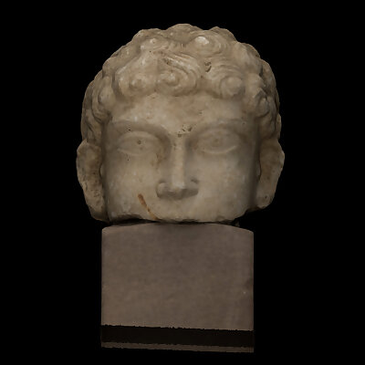 Portrait head from Palmyra