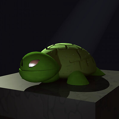 Tim the turtle