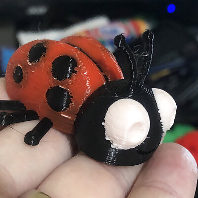Lady ladybug