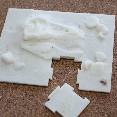 Jigsaw Paleontology 12 pieces