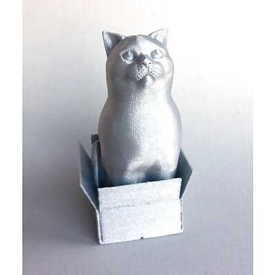 Schrodinky British Shorthair Cat Sitting In A Boxsingle extrusion version