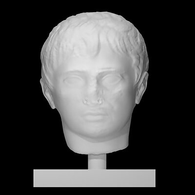 Head of Augustus