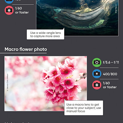 Infographic on camera settings How to Shoot Stunning Photographs in Manual Mode
