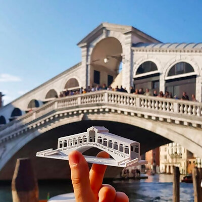 Rialto Bridge  Venice Italy