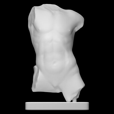Marble torso of a boy