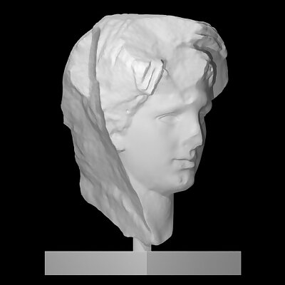 Marble head of a veiled man