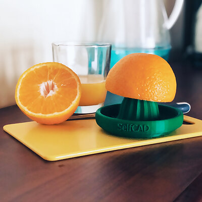 DIY 3D Printed Citrus Juicer