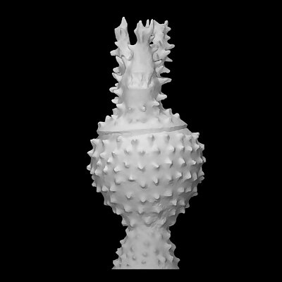 Fishshaped vase